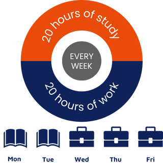 Highlights und icons (3)