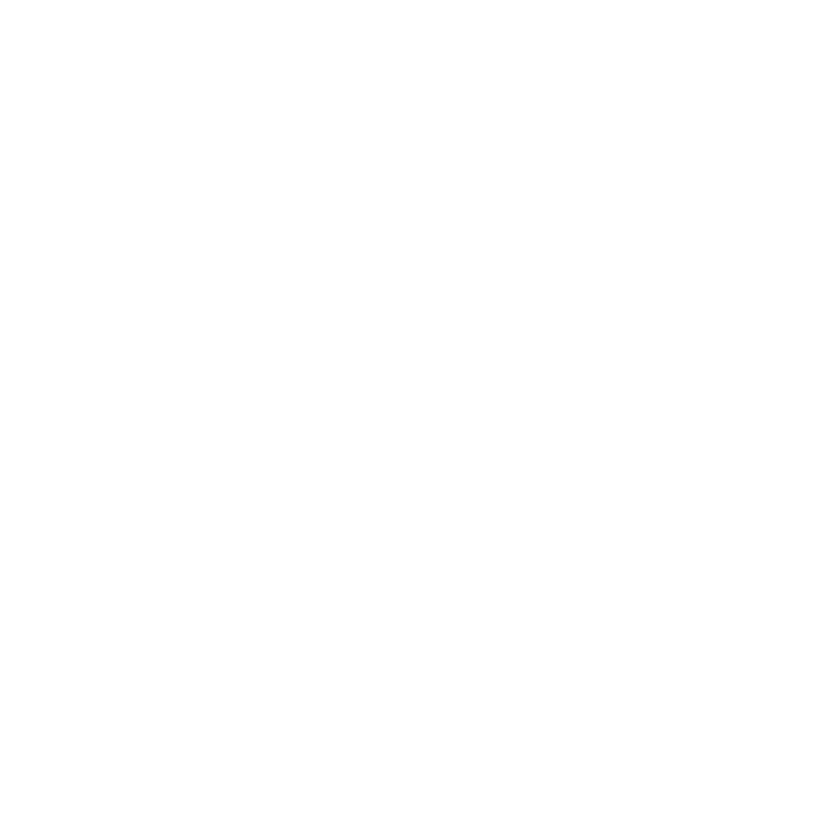 Icon Globus