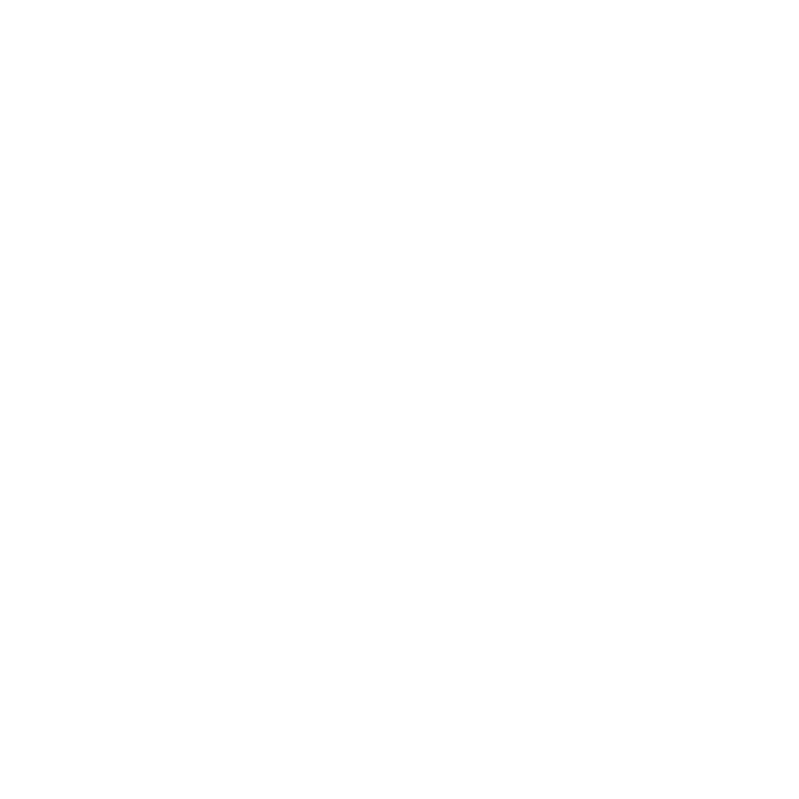 Icon_Ihre_Loesung_zur_Fachkraeftesicherung_weiss