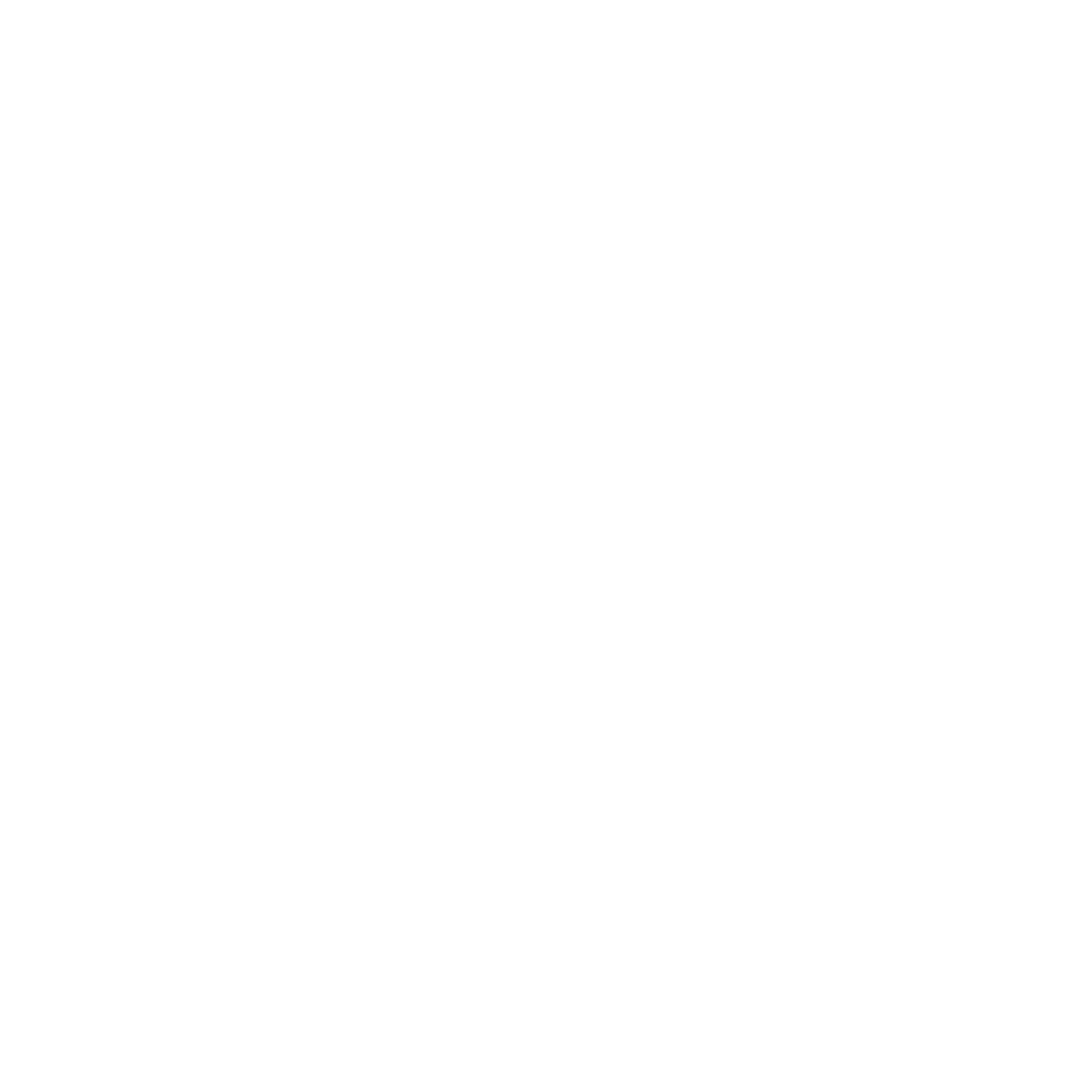 Icon Zertifikat