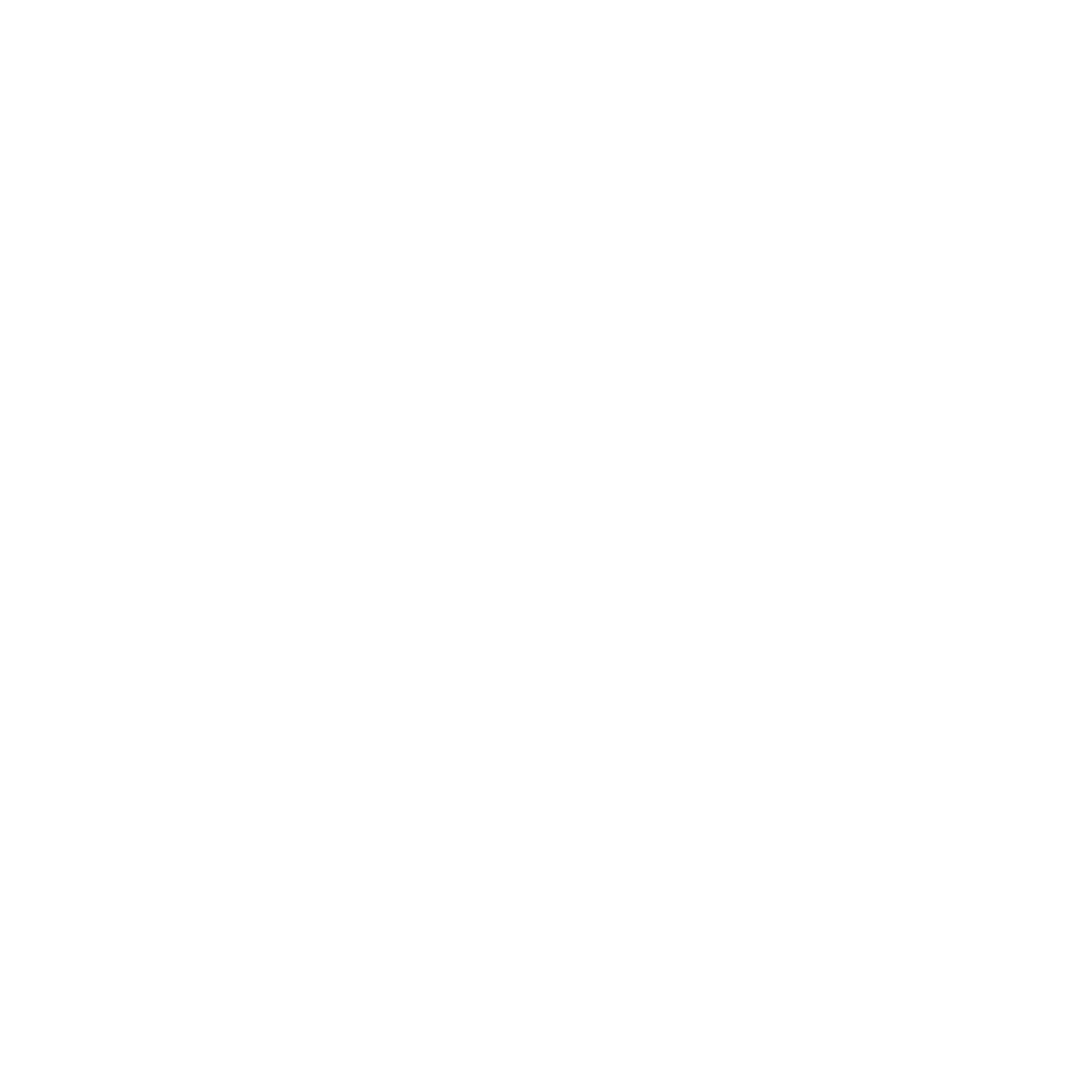 Icon_Staatliche_Anerkennung_weiss