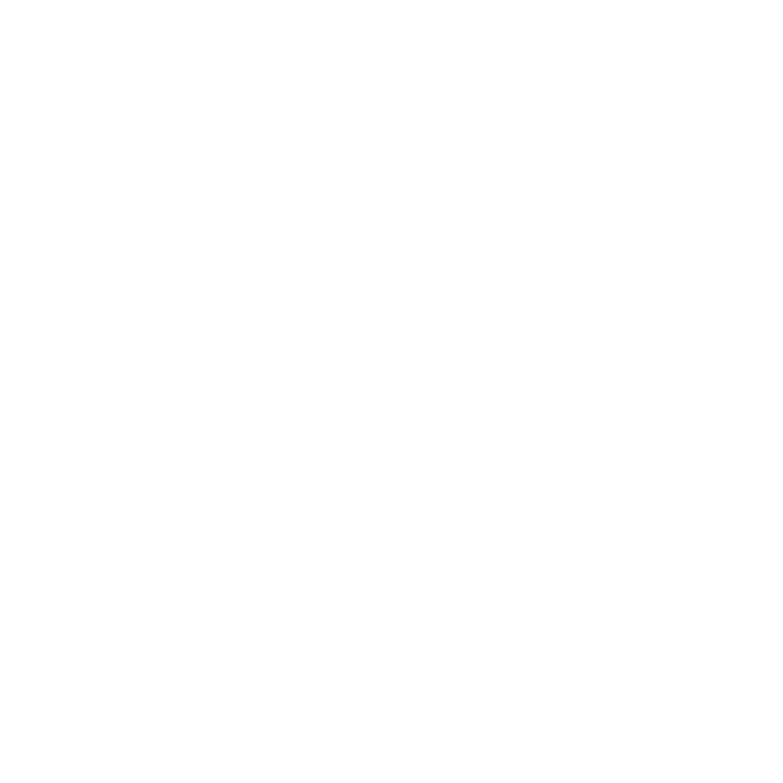 Icon Eurozeichen