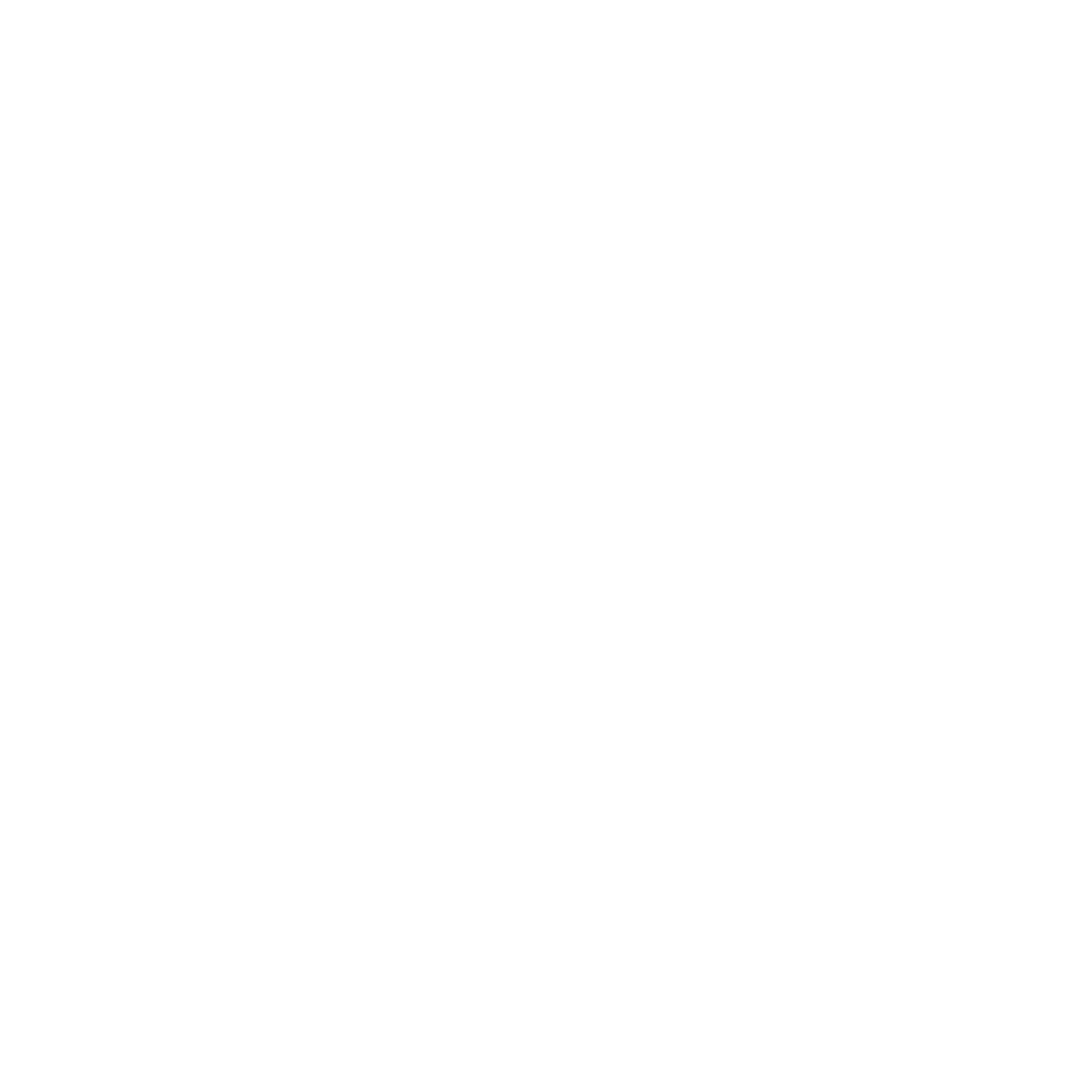 Icon Klemmbrett mit Lupe