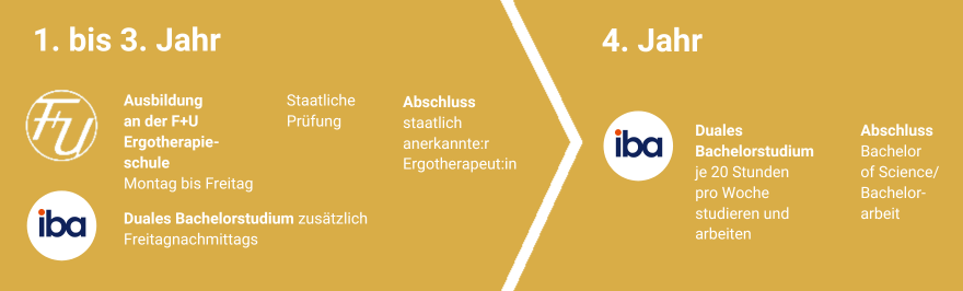 Studienverlauf-Ergotherapie