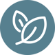 Nachhaltigkeit – auch im Studienangebot Icon