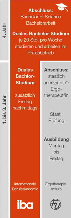Ablauf Ergo